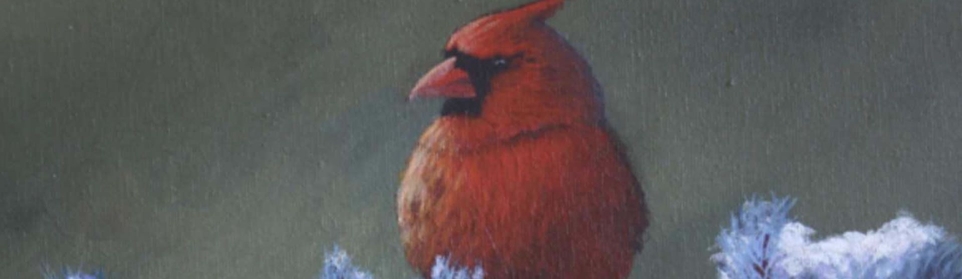 How a Mysterious Cardinal Became a Divine Reminder